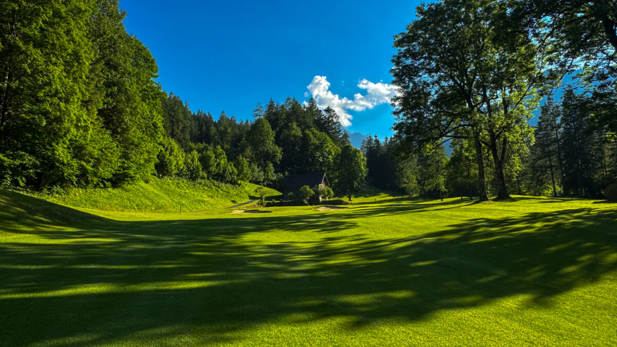 Newsletter Juni 2026
